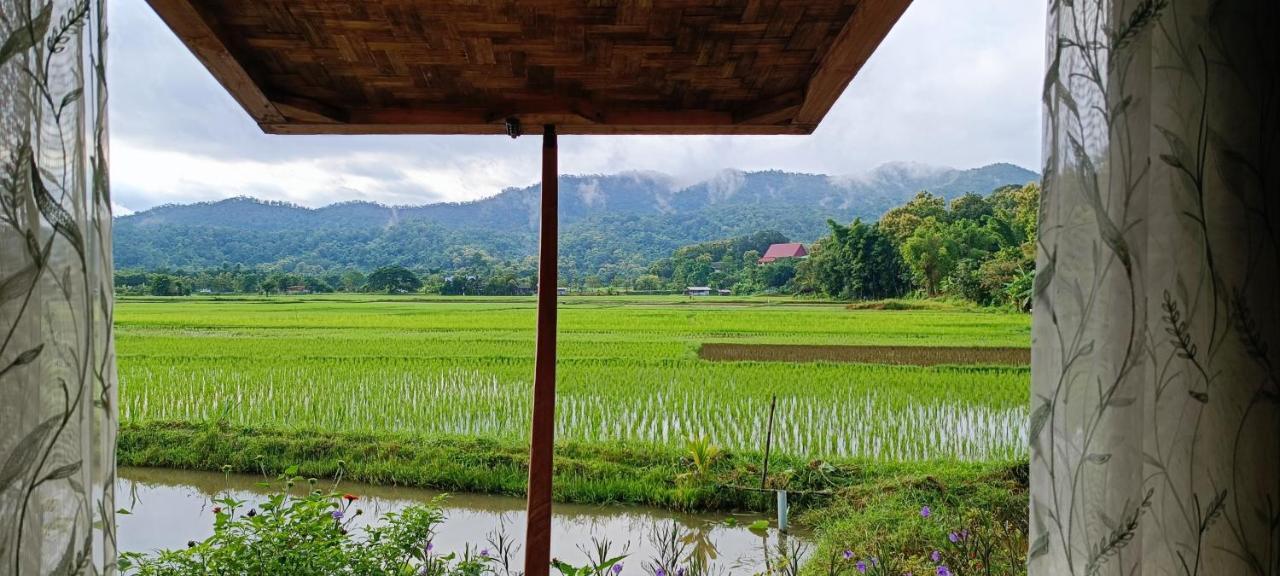 Kaewma Farmstay Khuang Kom 외부 사진