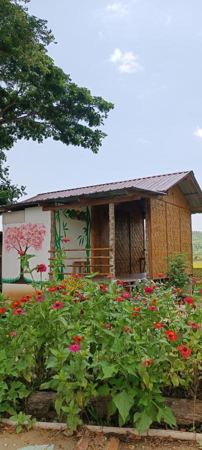 Kaewma Farmstay Khuang Kom 외부 사진