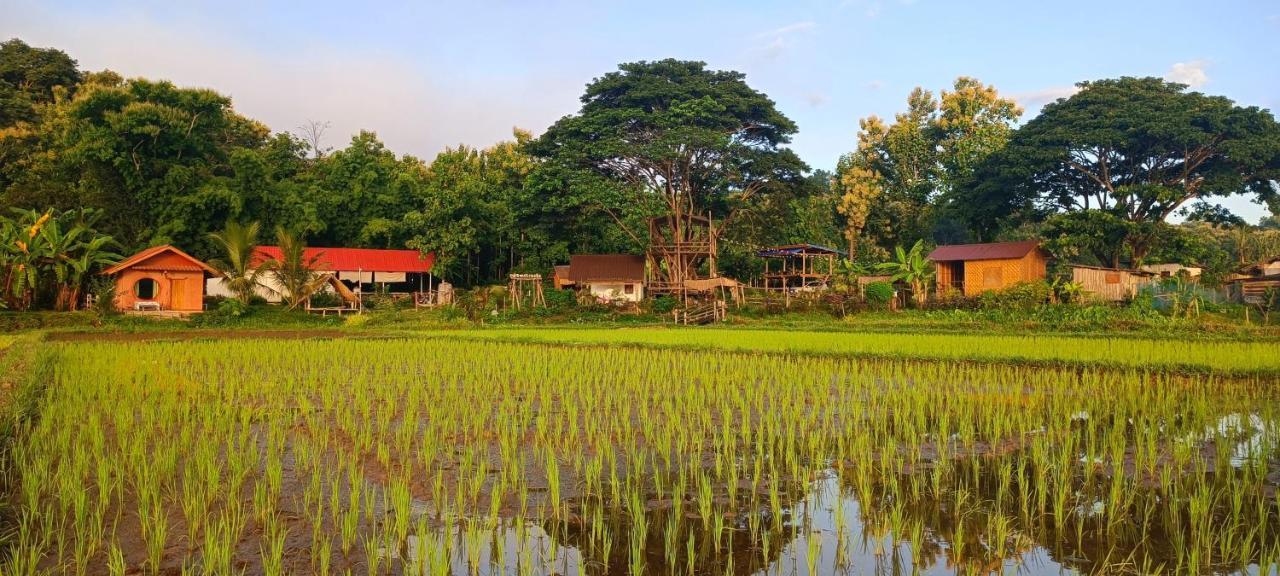 Kaewma Farmstay Khuang Kom 외부 사진