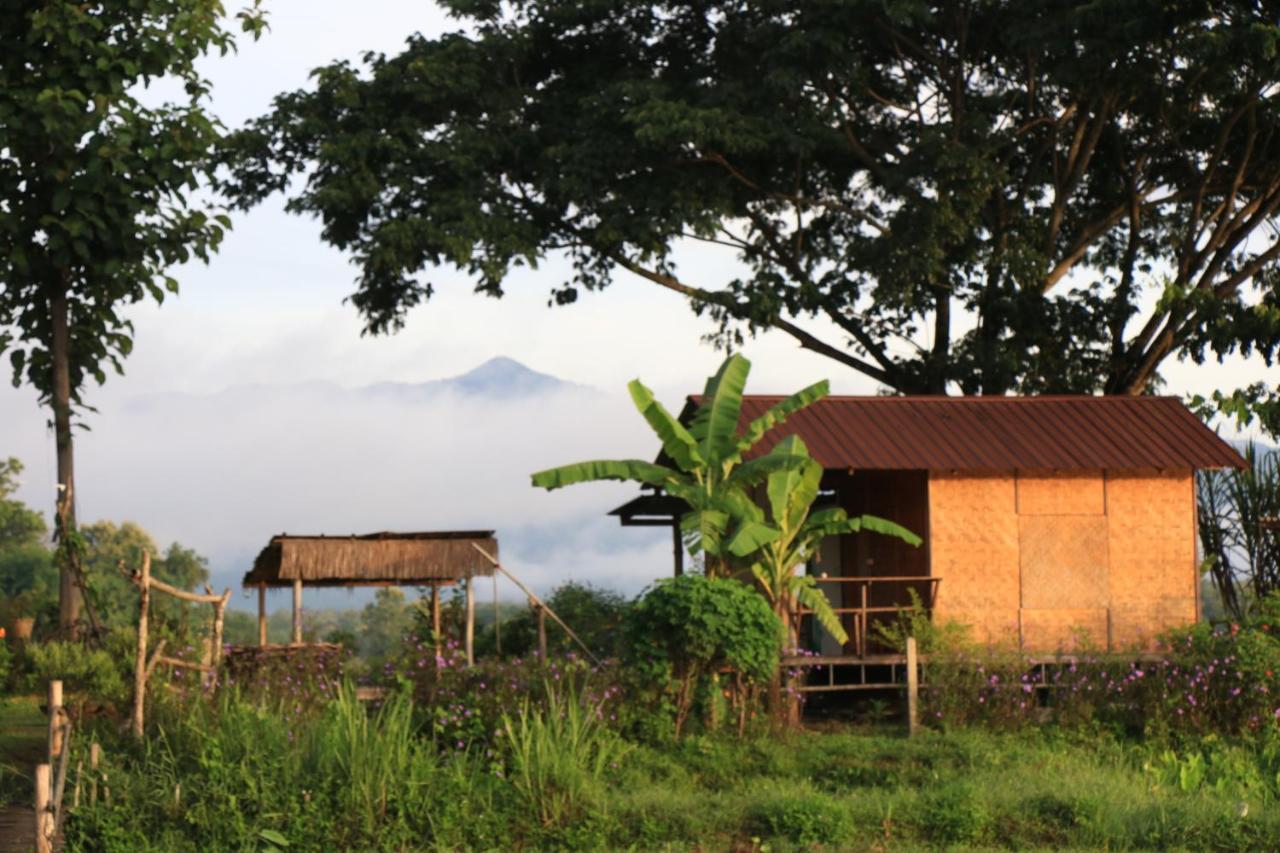 Kaewma Farmstay Khuang Kom 외부 사진