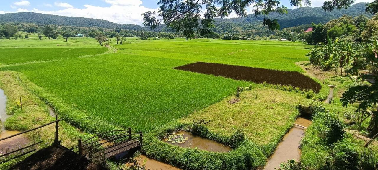 Kaewma Farmstay Khuang Kom 외부 사진