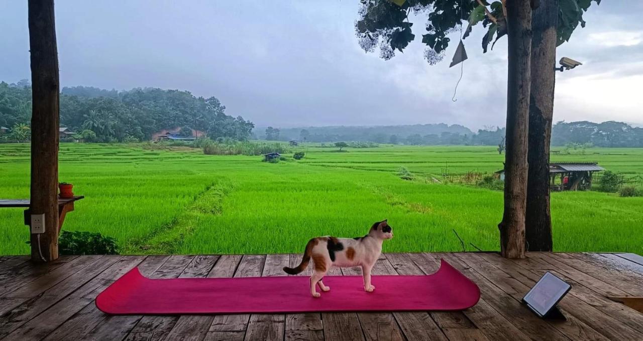 Kaewma Farmstay Khuang Kom 외부 사진
