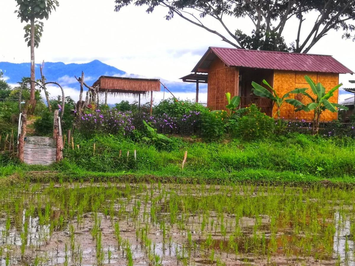 Kaewma Farmstay Khuang Kom 외부 사진