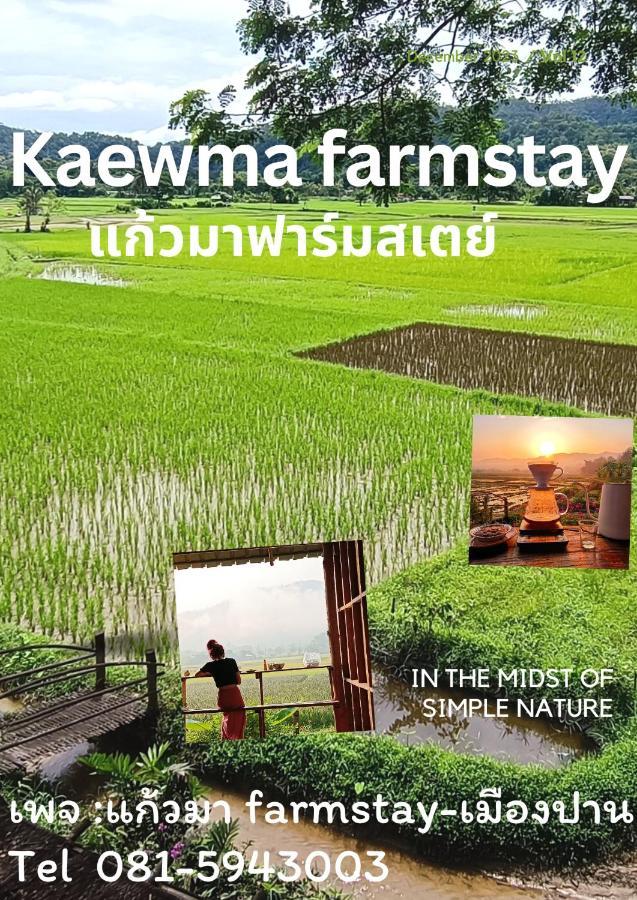 Kaewma Farmstay Khuang Kom 외부 사진