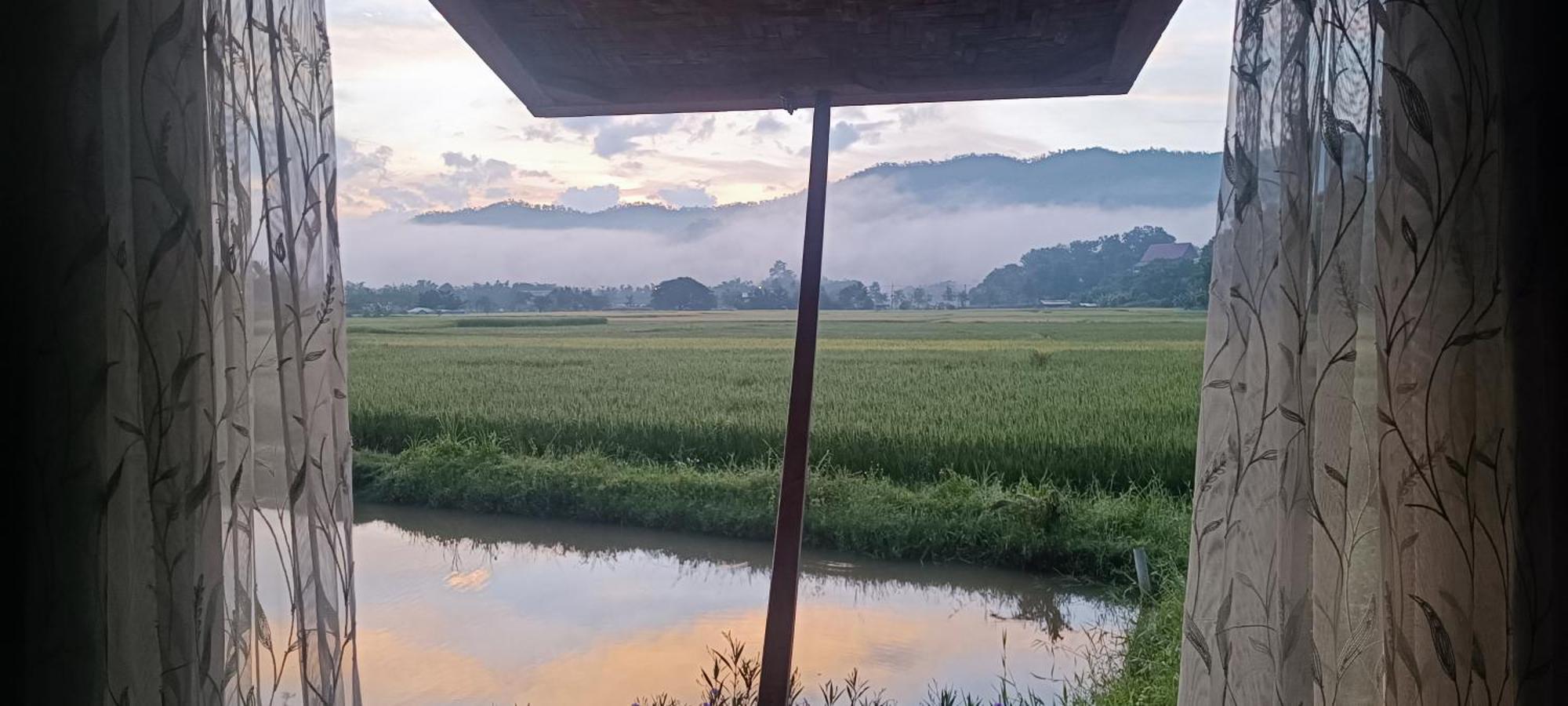 Kaewma Farmstay Khuang Kom 외부 사진