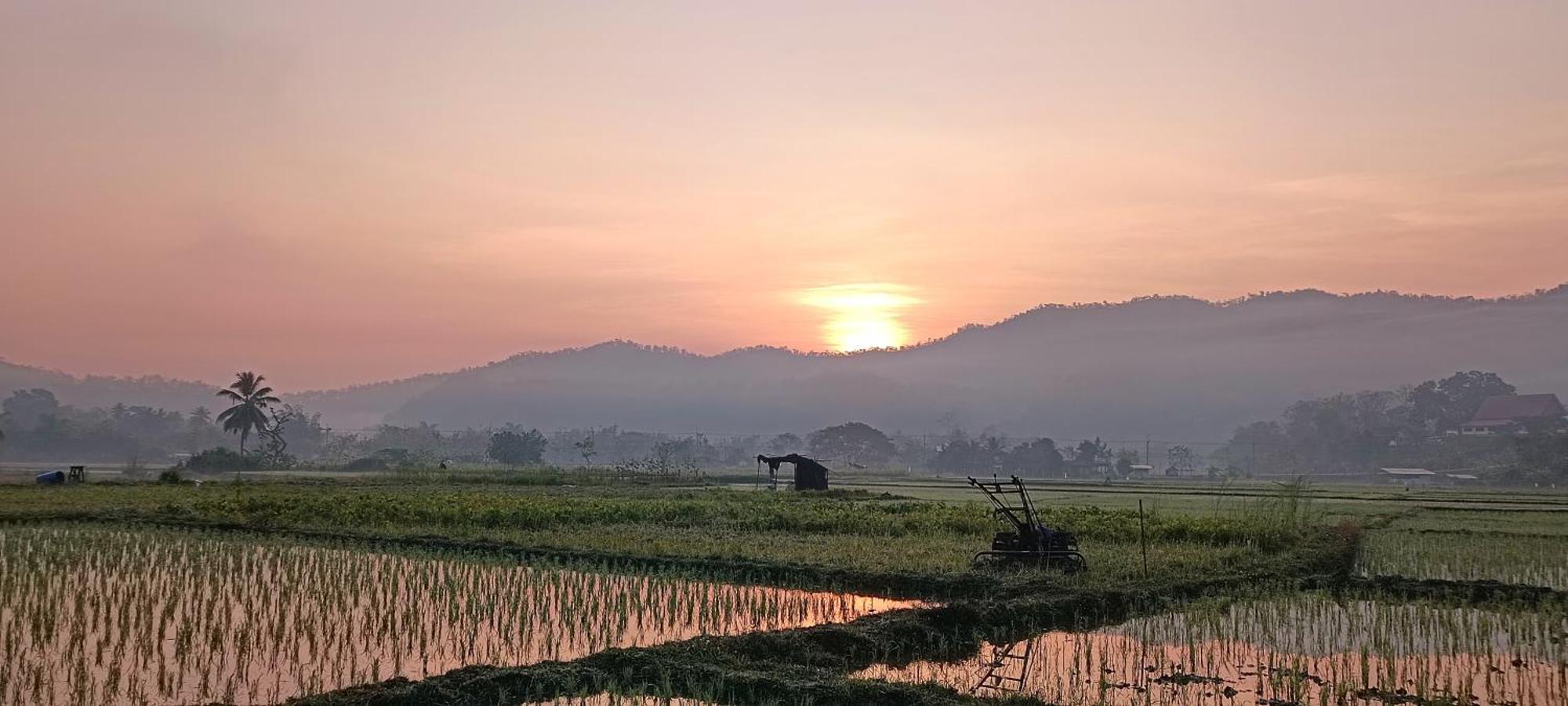 Kaewma Farmstay Khuang Kom 객실 사진